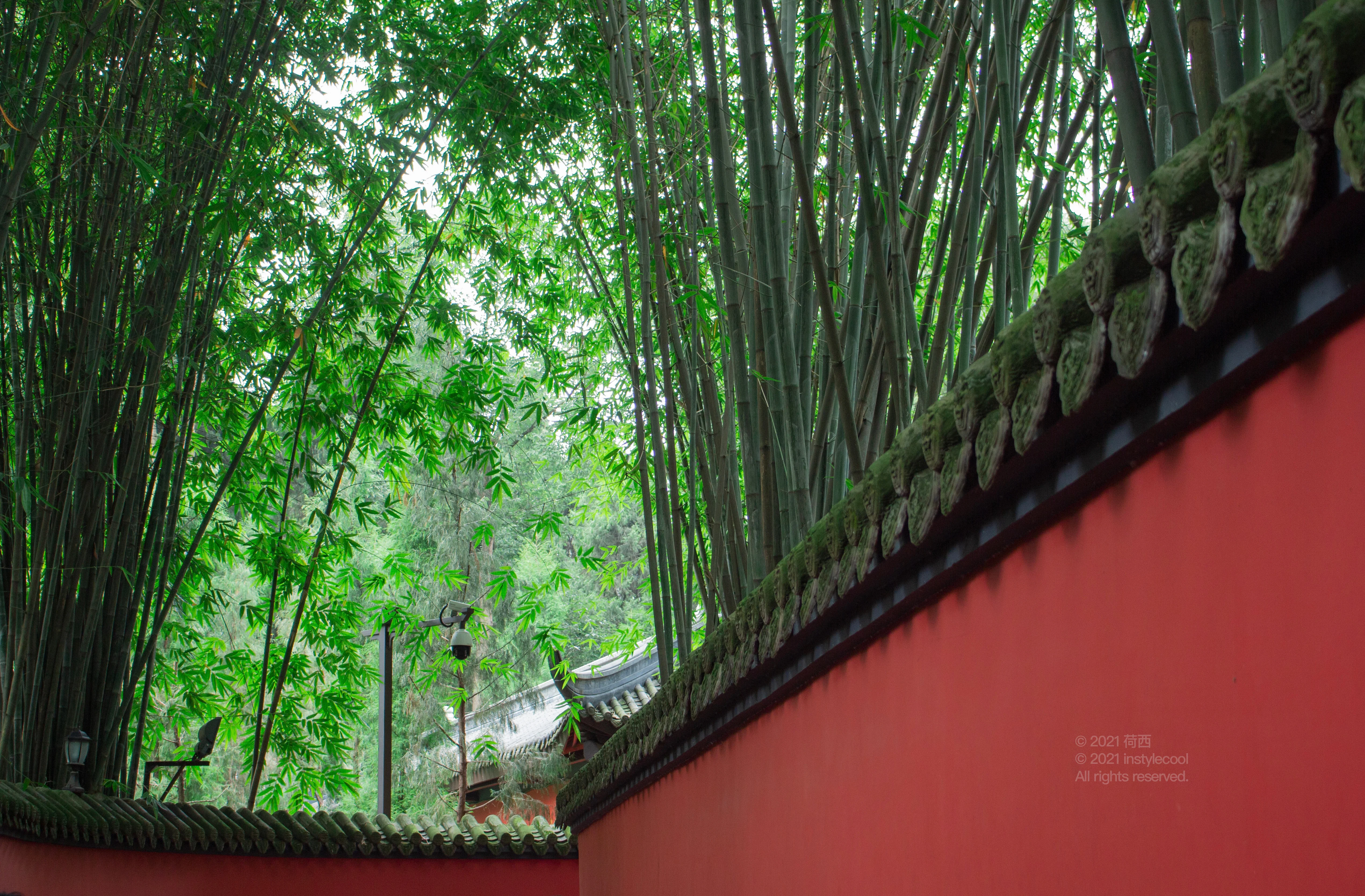 山景摄影作品 — 云海日出